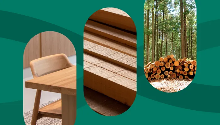 認証材コーディネート